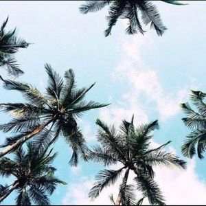 Meet your Posher, Luna